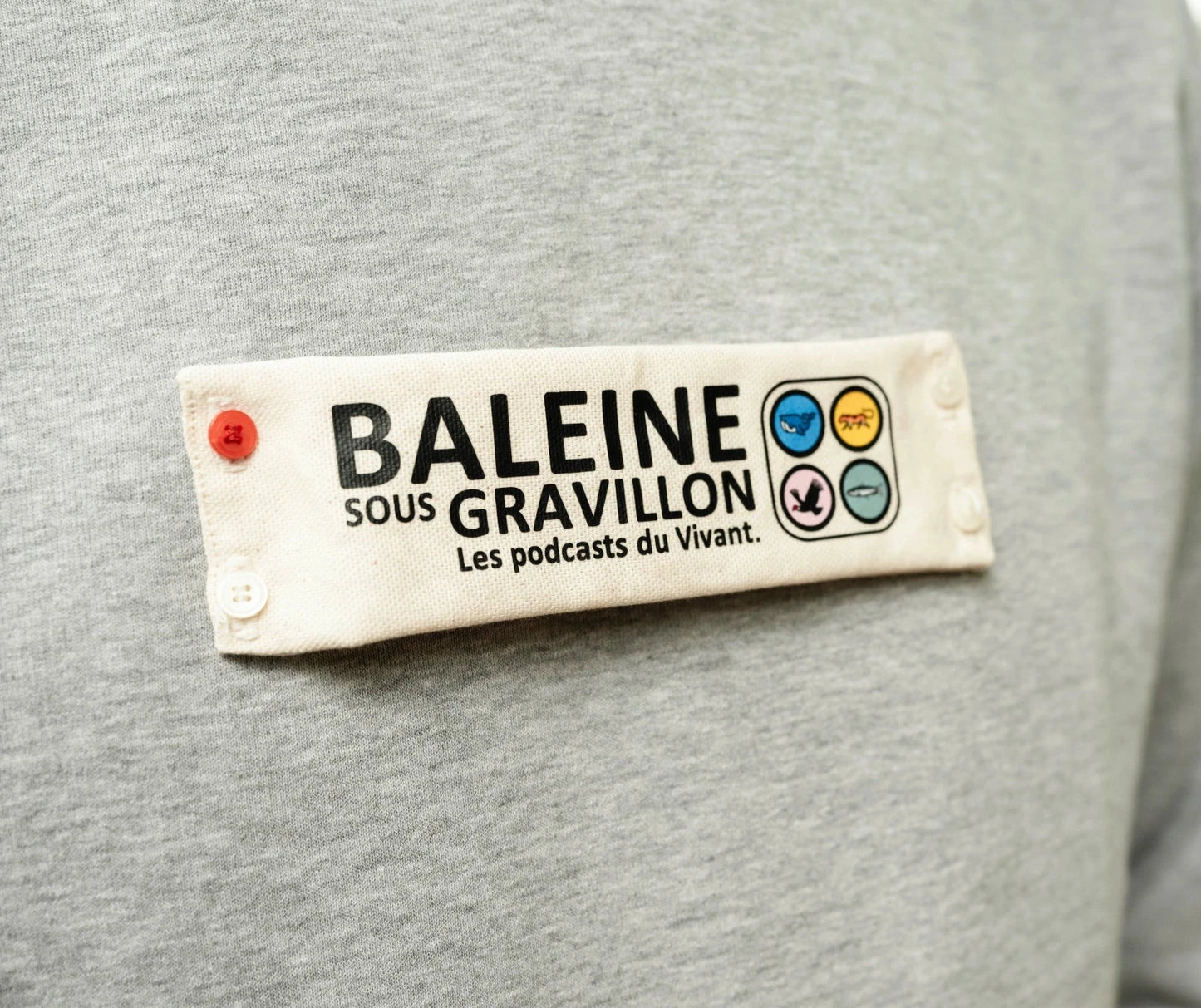 Écusson solo [BSG / Vivant] (Recto-verso)