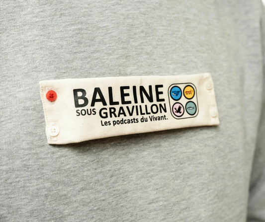 Écusson solo [BSG / Vivant] (Recto-verso)