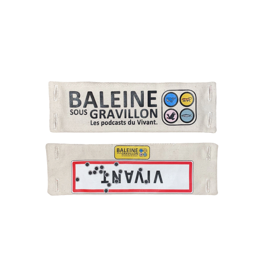 Écusson Interchangeable n°1 - Baleine Sous Gravillon