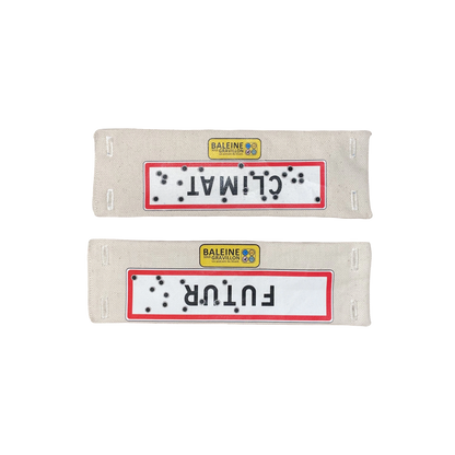 Écusson solo [Futur / Climat] (Recto-verso)