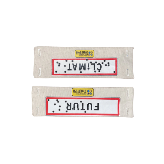 Écusson Interchangeable n°2 - Baleine Sous Gravillon