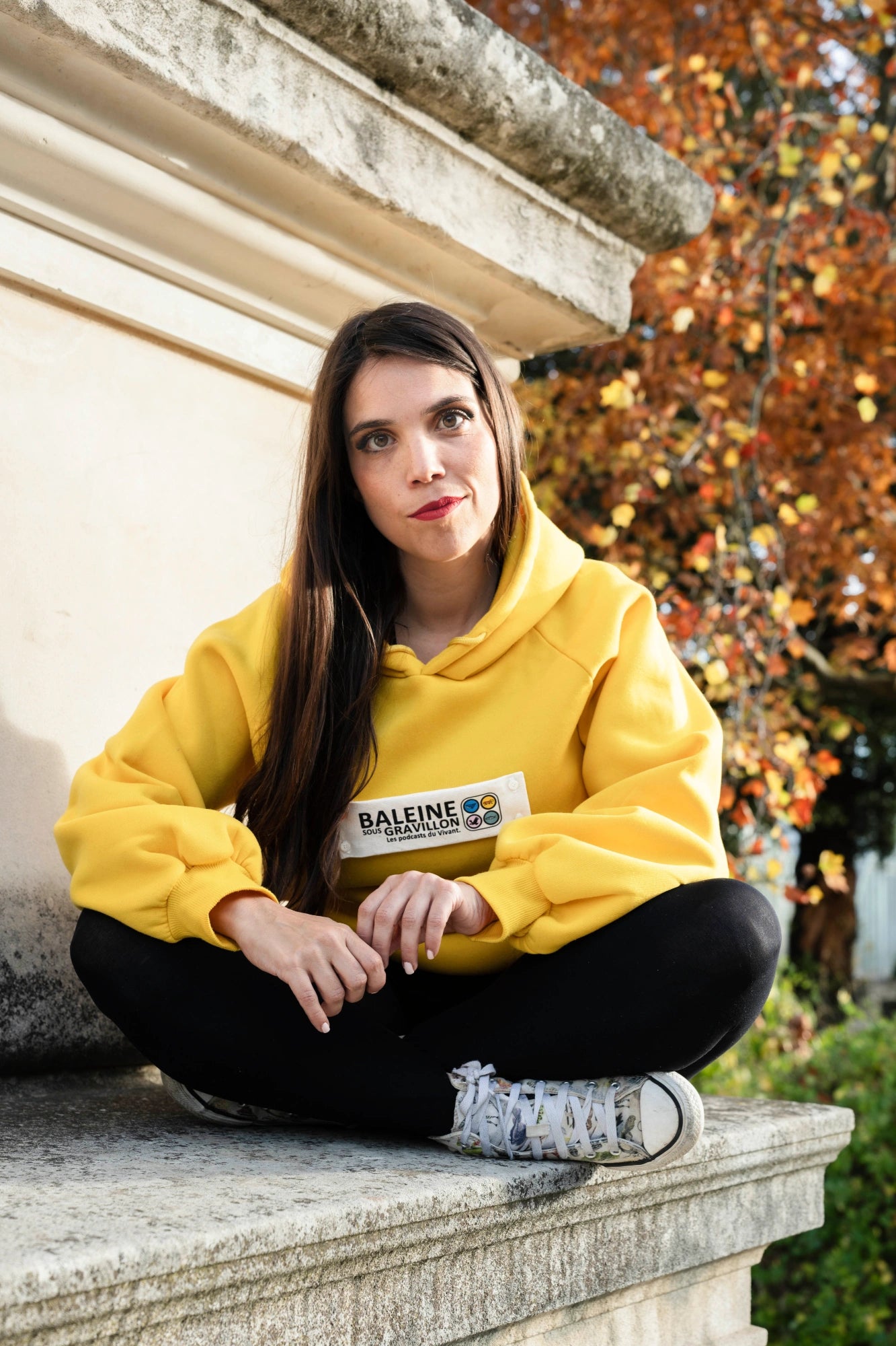 Pull revalorisé + écusson [BSG / Vivant]