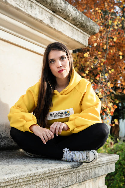 Pull revalorisé + écusson [BSG / Vivant]